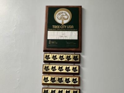Yearly awards showing Tiffin has received Tree City USA recognition since 1981.