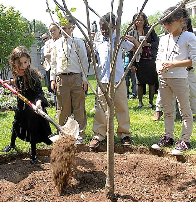 Children planting a tree