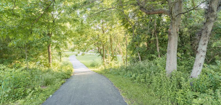 Image of a trail at Hedges-Boyer Park