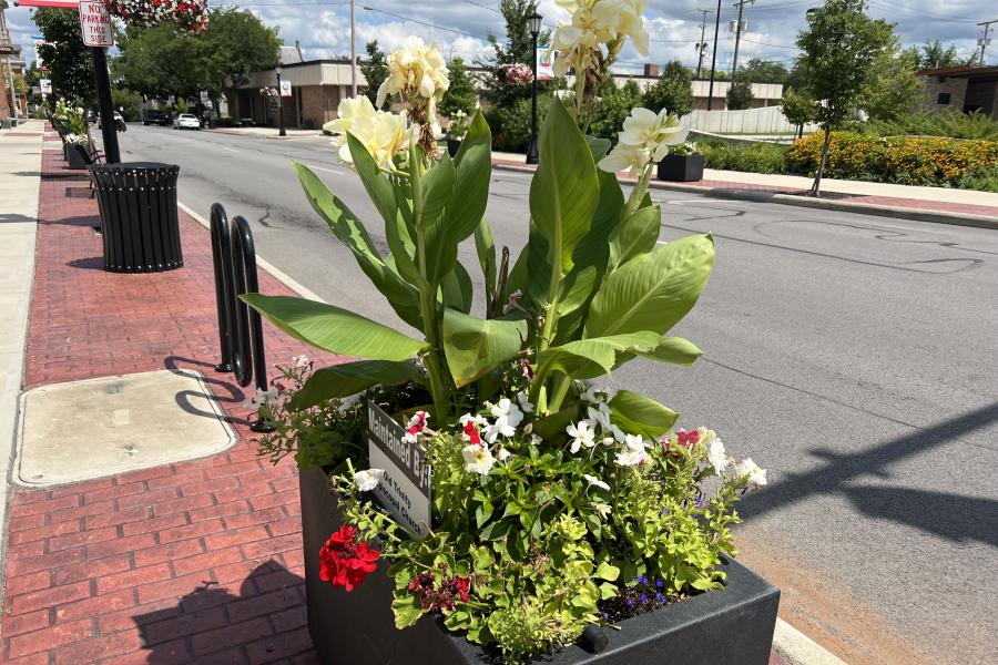 Planters and hanging baskets are pictured on Jefferson Street during the summer.