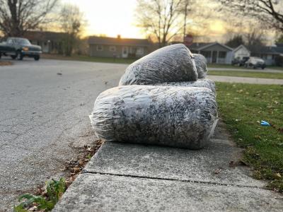 Leaf bags are shown on a residential street.