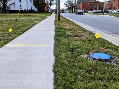 Flags are placed in the grass public right of way to mark utility lines along Miami Street in Tiffin.