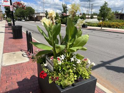 Planters and hanging baskets are pictured on Jefferson Street during the summer.