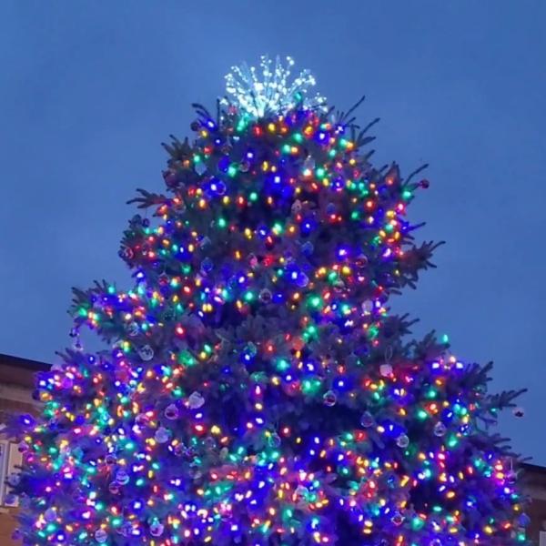 Live Christmas tree located on the lawn of the Seneca County Joint Justice Center